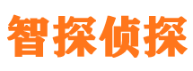 惠安婚外情调查取证